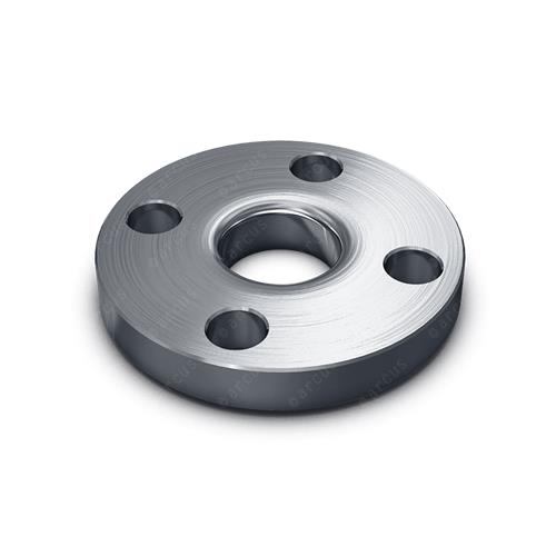 6" (168.28 mm) 300 LBS, AISI 304L