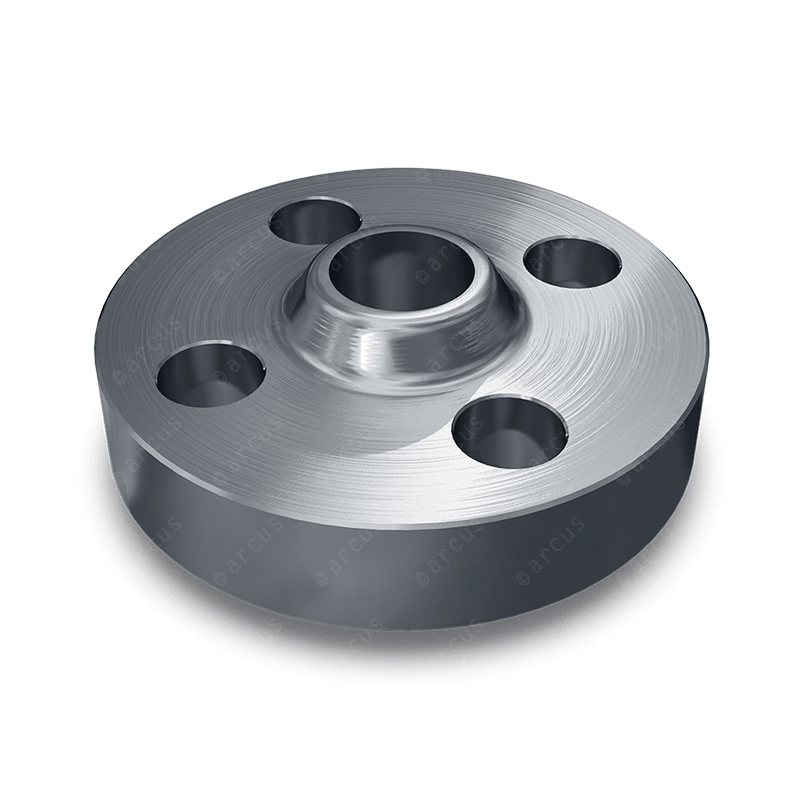 24" (609.6 mm) 150 LBS, AISI 316L